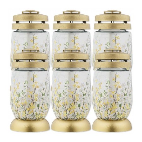 Znicze szklane BOLSIUS Forsycja 22,5cm 36h 6szt.