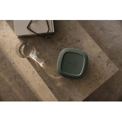 Pochłaniacz wilgoci 300 ładny design zielony