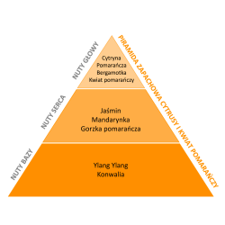 Perfumy do prania o zapachu Cytrusy i Kwiat Pomarańczy 20 ml ESSENTIA NATURE