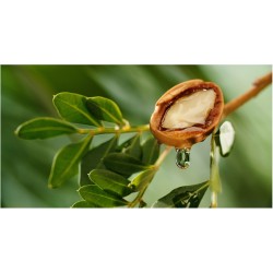 Odświeżacz w sprayu do tkanin i wnętrz o zapachu Argan 50 ml ESSENTIA NATURE