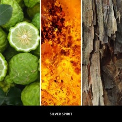 Zapach do samochodu MILLEFIORI Milano SILVER SPIRIT do kratki nawiewu