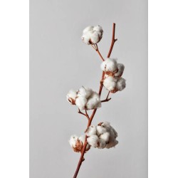 Odświeżacz w sprayu do tkanin i wnętrz o zapachu Kwiat Bawełny 20 ml ESSENTIA NATURE